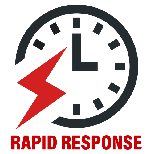 Rapid response icon