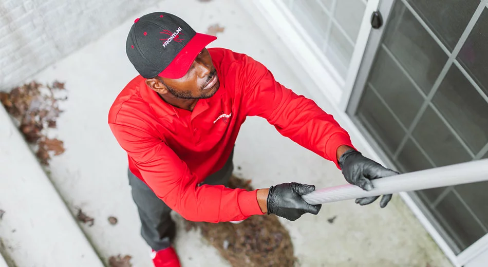 brushing stairwell for pest