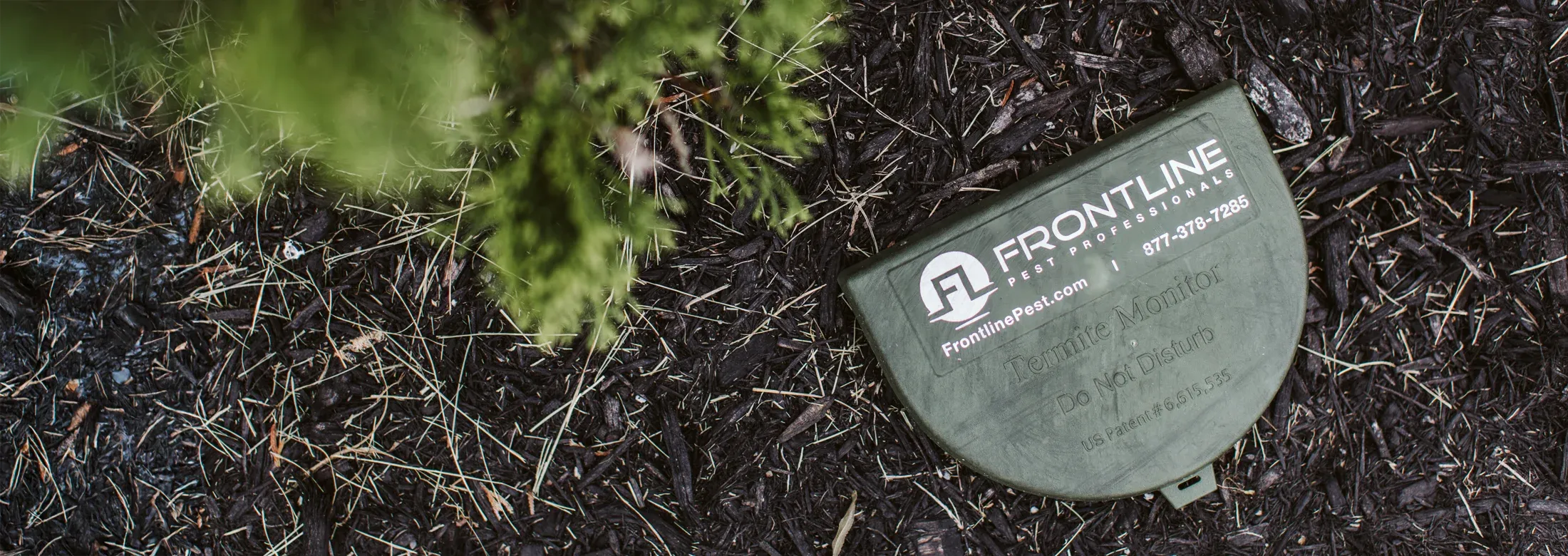 frontline-termite-monitor