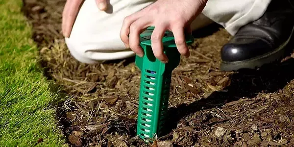 Checking termite bait system