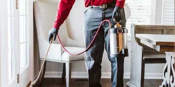 service-summary-pest-control