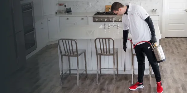 tech spraying kitchen